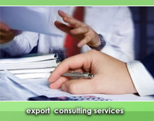 Export Icon