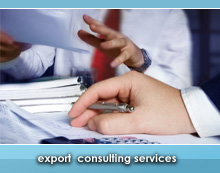 Export Icon